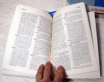Diccionario Manual da lingua galega 15 fascículos 004